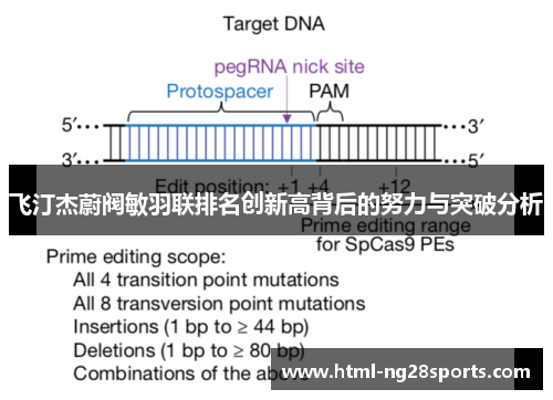 飞汀杰蔚阀敏羽联排名创新高背后的努力与突破分析